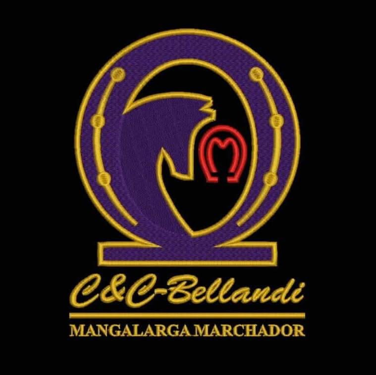 CC Bellandi Mangalarga Marchador